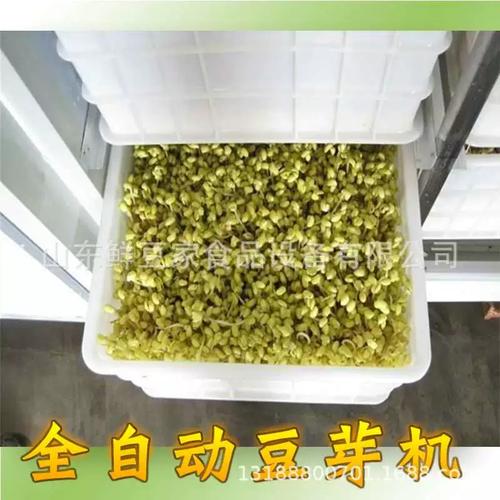 厂家山商东豆芽品44机小型全自动绿豆芽机黄豆芽设备豆制用设备厂
